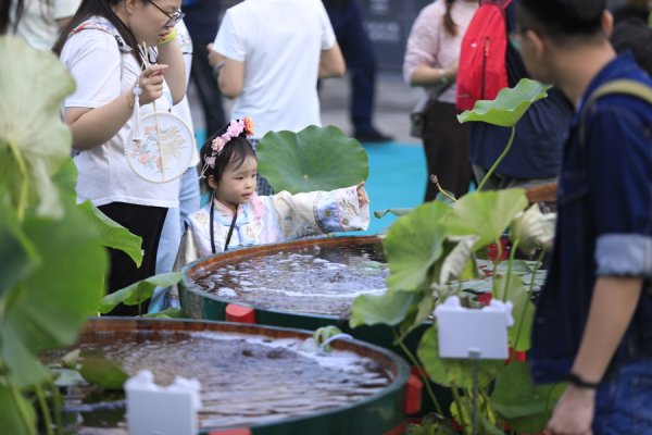 金风资本 沉浸式观鱼！恭王府金鱼特展再现传统园林生态美学